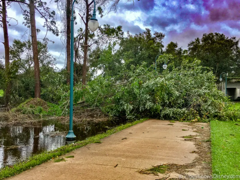 Hurricane damage at Walt Disney World