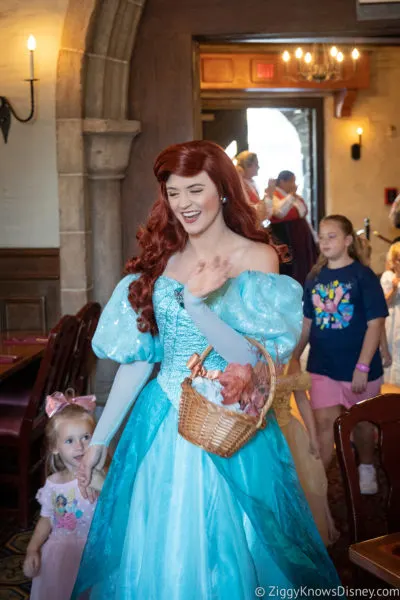 Ariel at Akershus Royal Banquet Hall