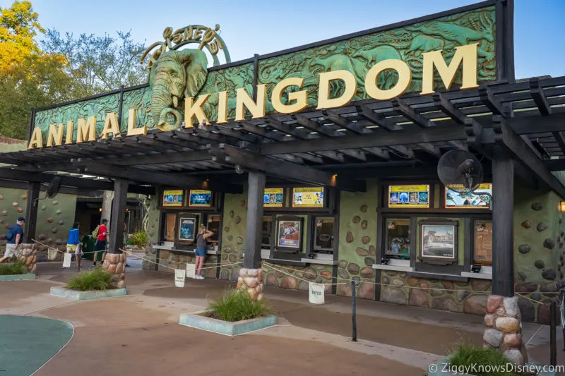 ticket window at Animal Kingdom entrance