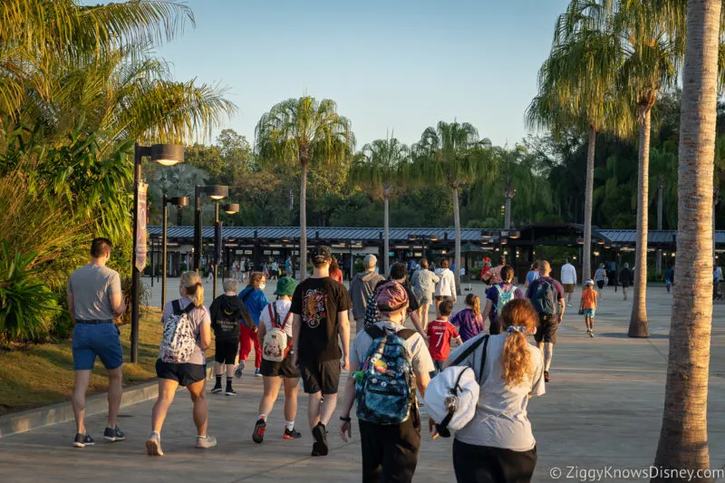 Disney World Tickets walking to Animal Kingdom