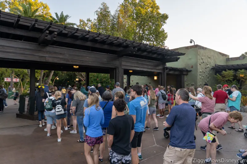 crowds in line to Animal Kingdom entrance