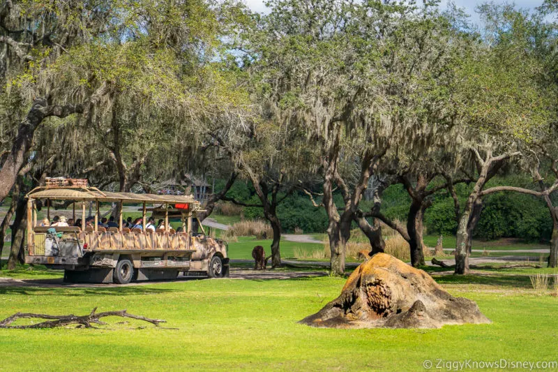 Kilimanjaro Safaris Animal Kingdom