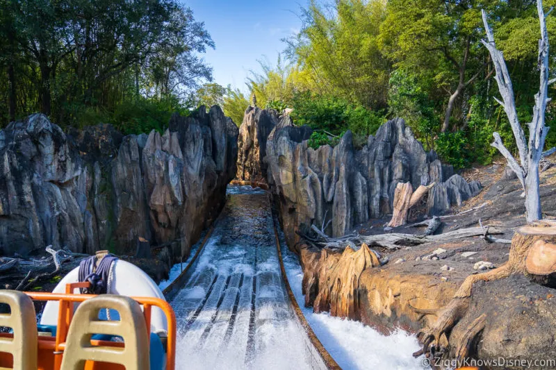 Kali River Rapids Animal Kingdom