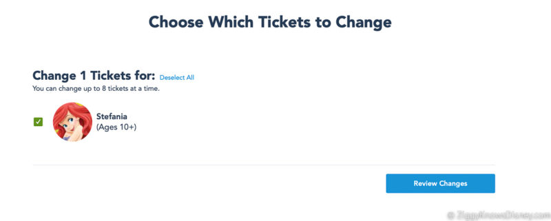 Choose which tickets to change screen