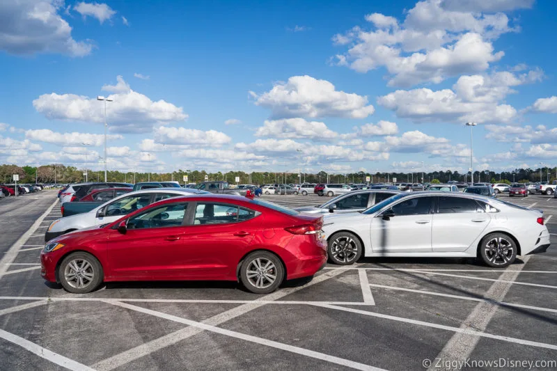 cars in Disney World parking lot