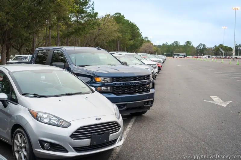 renting a car at Disney World