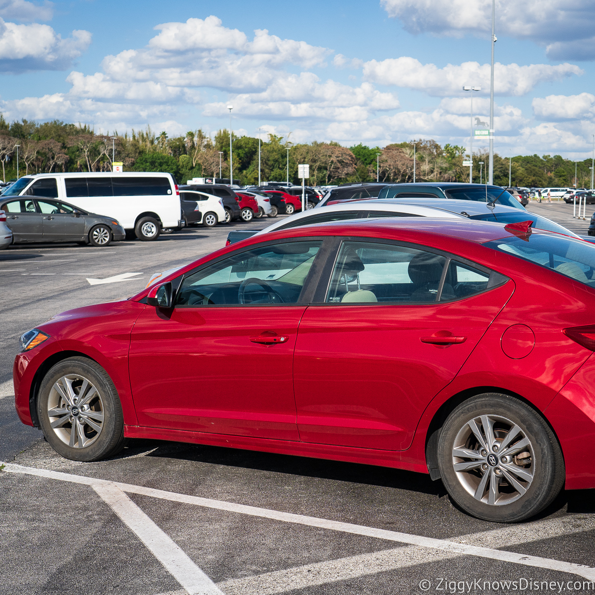 Rental cars in Disney World