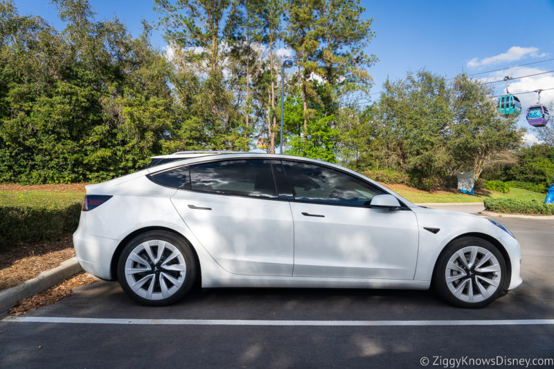 Tesla rental car Disney World