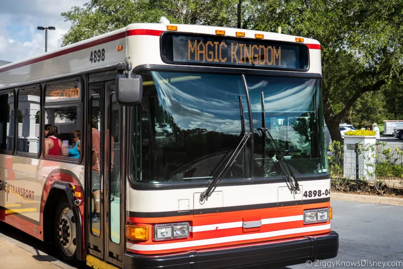 bus to Disney's Magic Kingdom