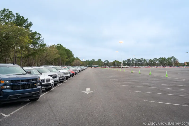 Disney World parking lot with cars