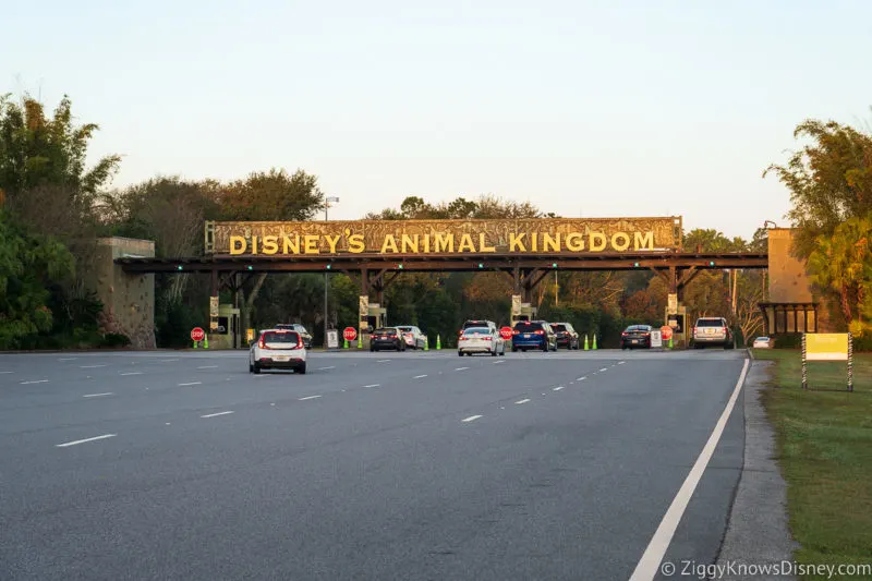 Animal Kingdom parking lot entrance