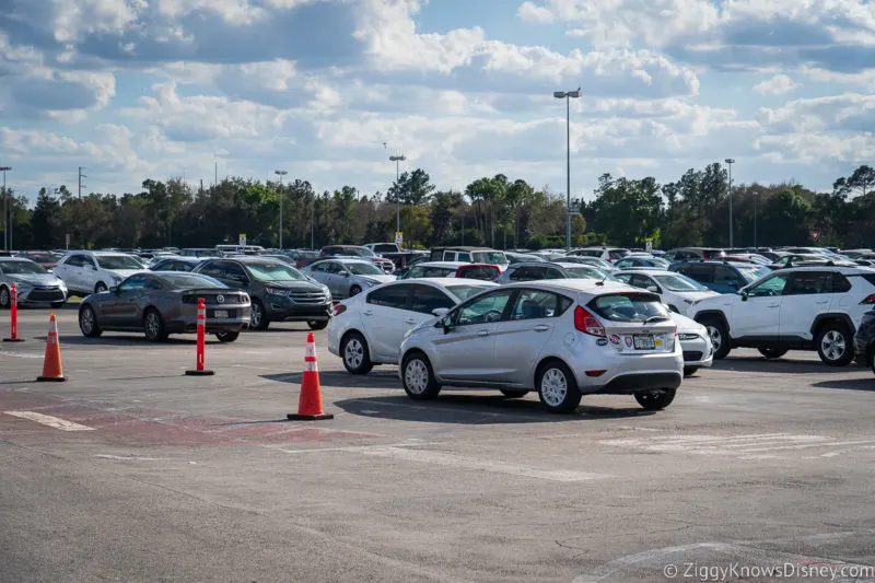 row of parked cars Disney World