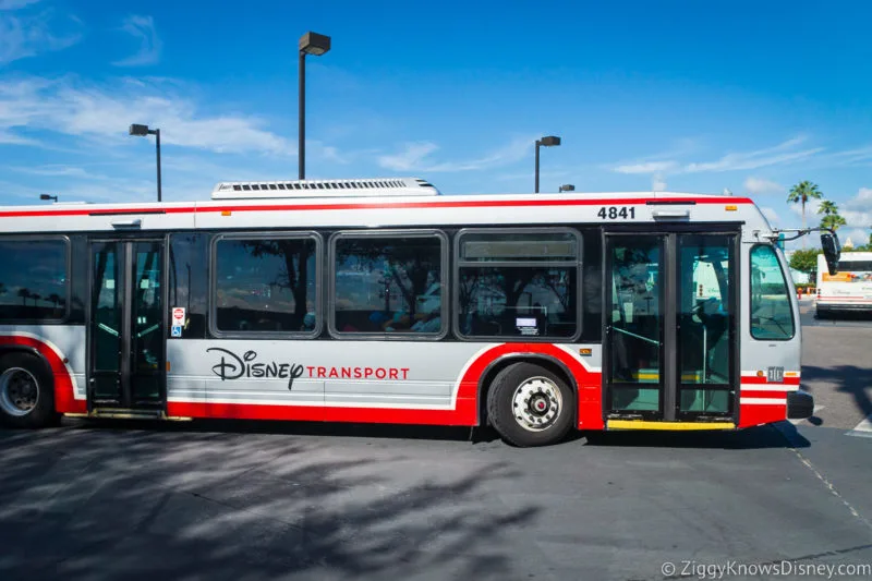 Disney World bus transportation