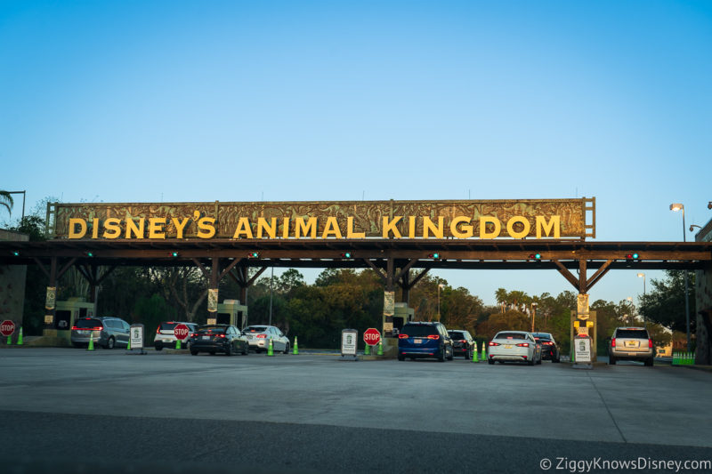 Disney's Animal Kingdom parking lot entrance