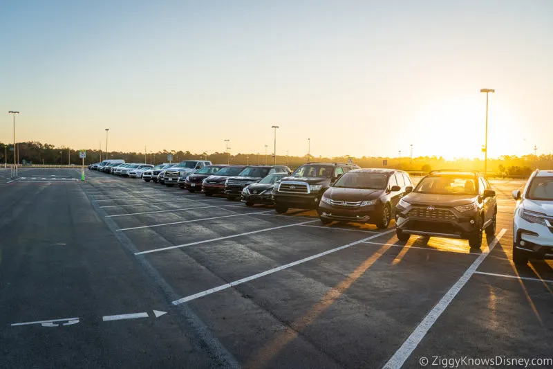 Sunrise at Disney's Animal Kingdom parking lot