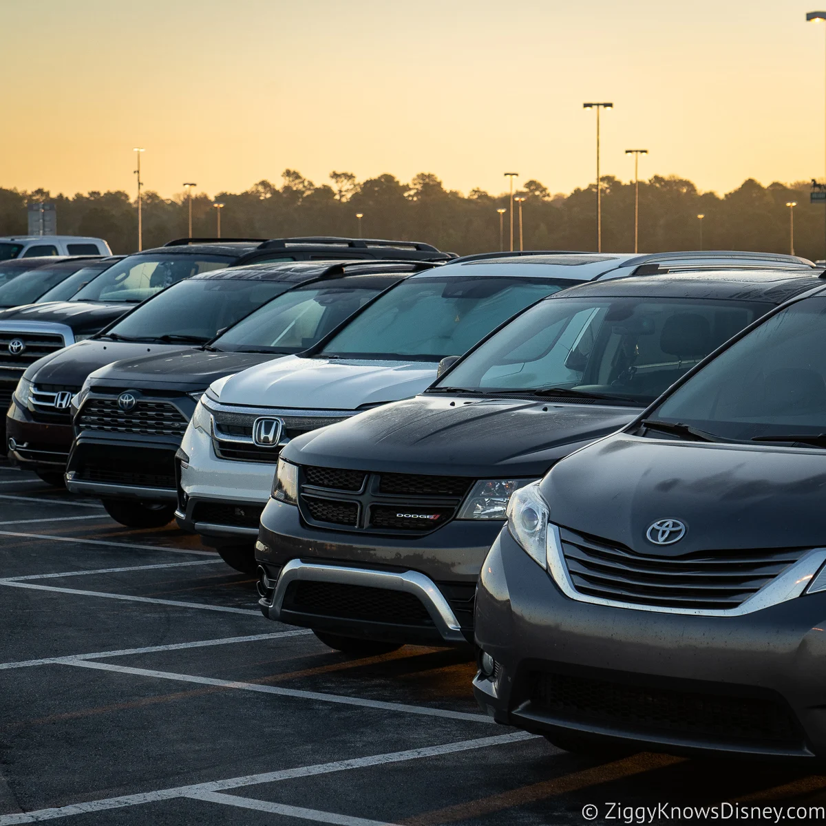 Parking at Disney World