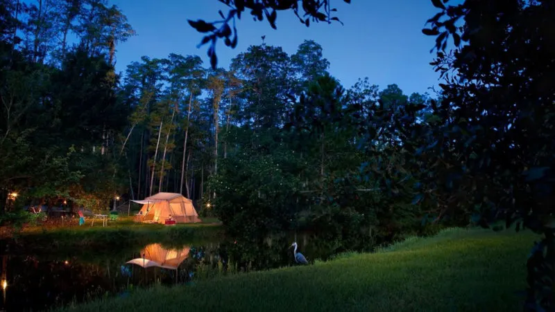 a tent at night at Disney's Fort Wilderness Resort & Campground