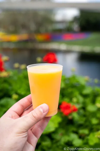 Orange-Lemon Smoothie from The Citrus Blossom