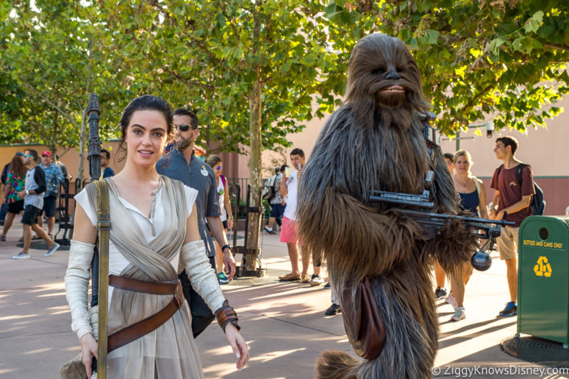 Rey and Chewbacca walking through Hollywood Studios