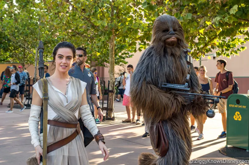 Rey and Chewbacca walking through Hollywood Studios