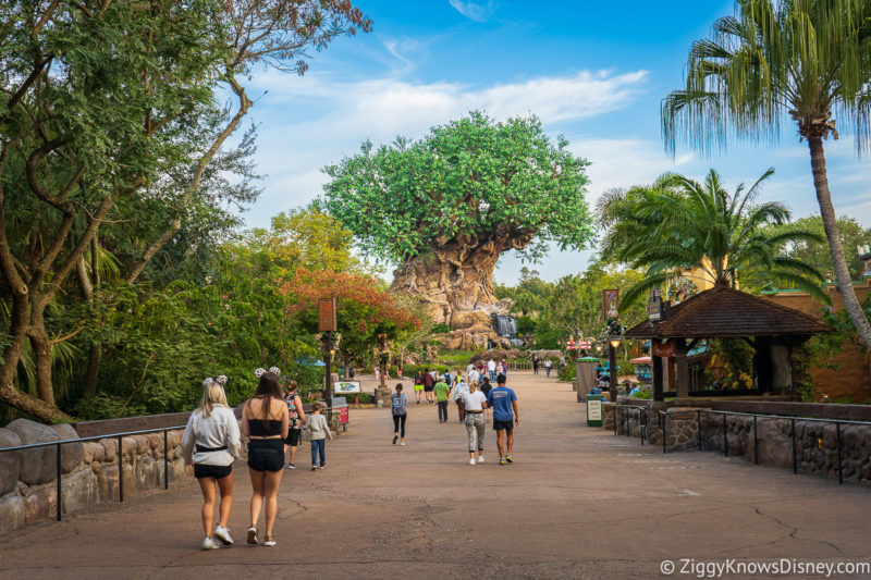 Disney's Animal Kingdom Park Hours