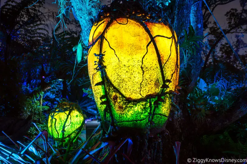 Glowing Lights Pandora the World of Avatar Animal Kingdom