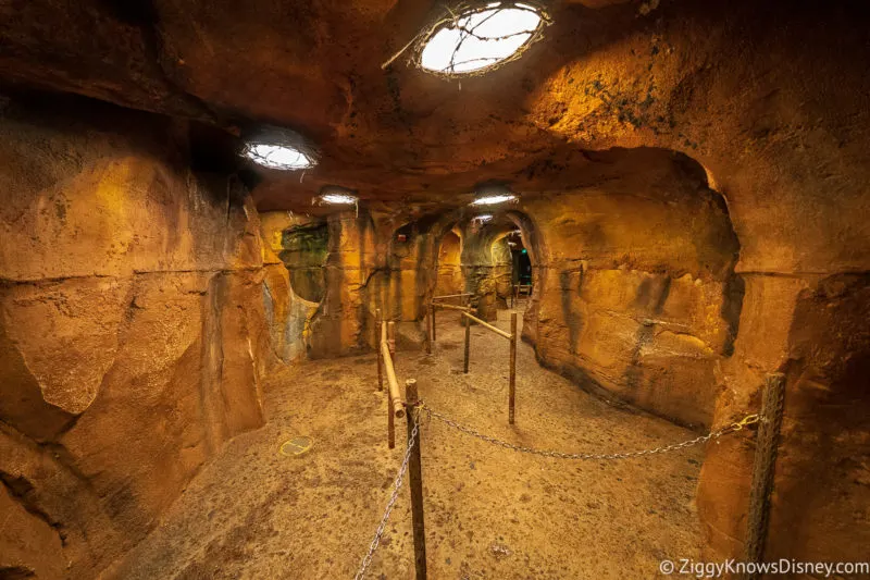 queue for Flight of Passage Animal Kingdom