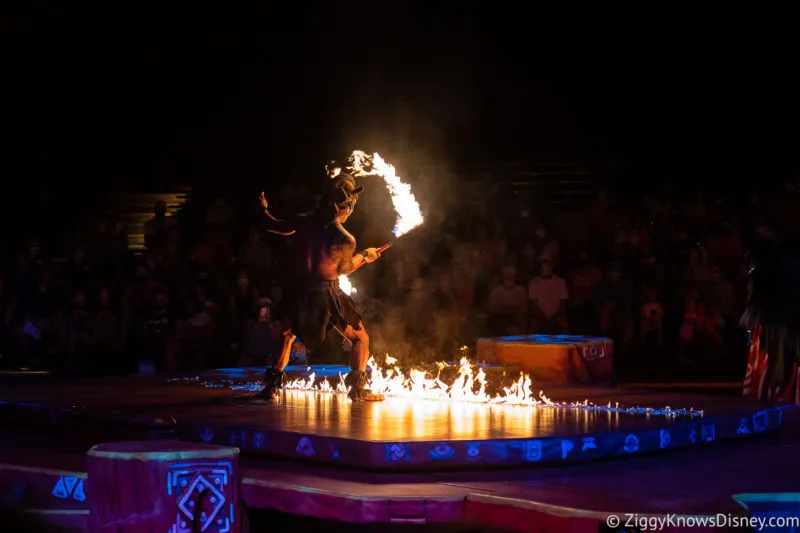 Fire Dancer Festival of the Lion King