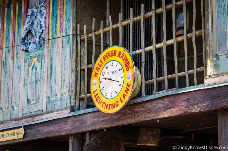 Animal Kingdom Hours clock