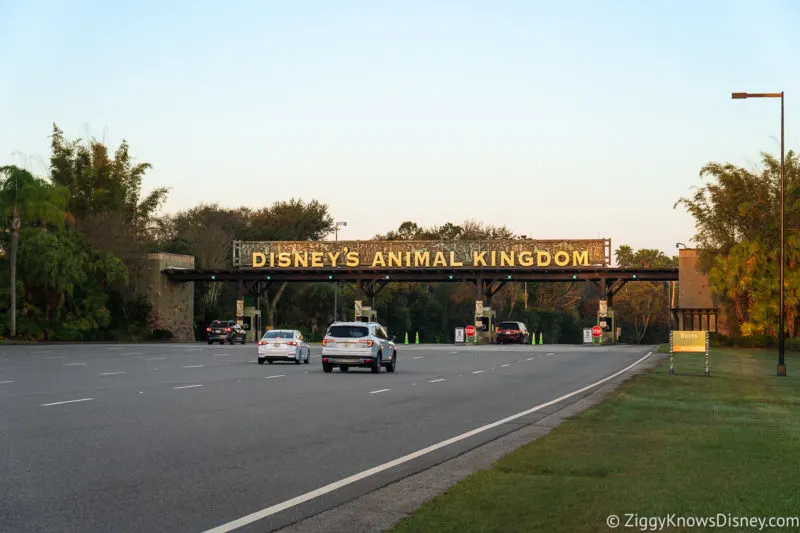 Disney's Animal Kingdom entrance driving in a car