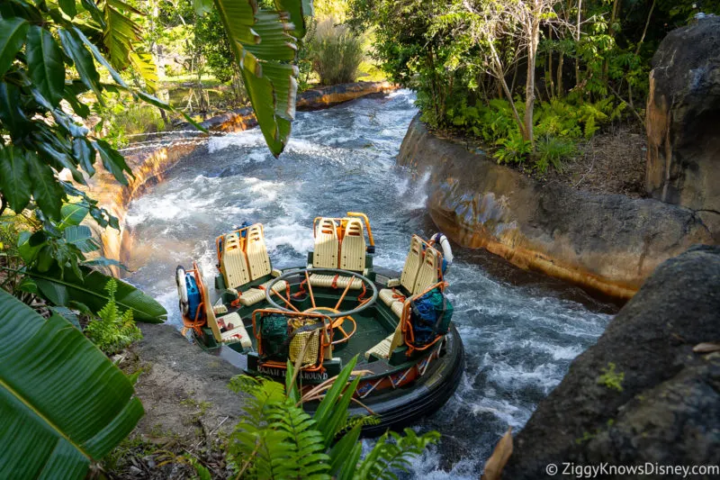 Raft in Kali River Rapids Animal Kingdom