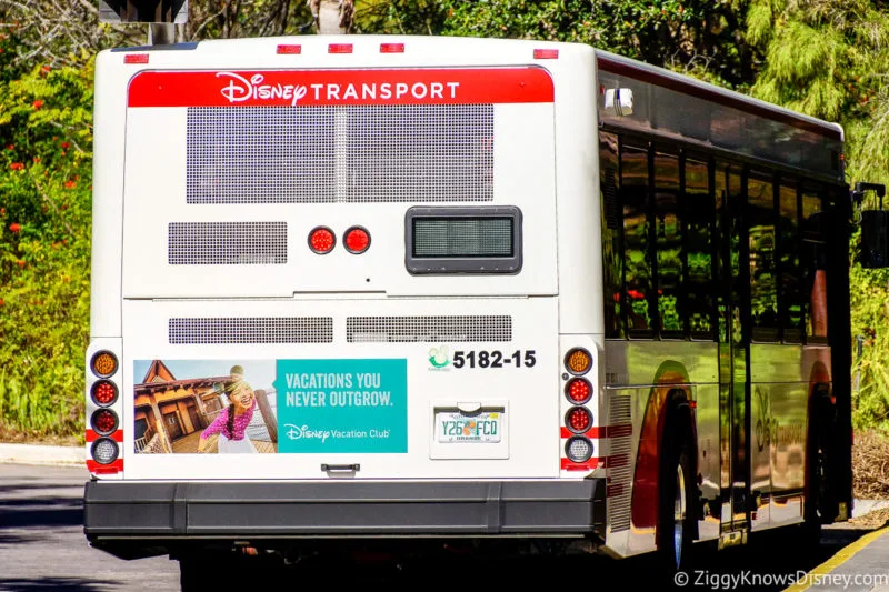 bus driving away at Animal Kingdom Lodge