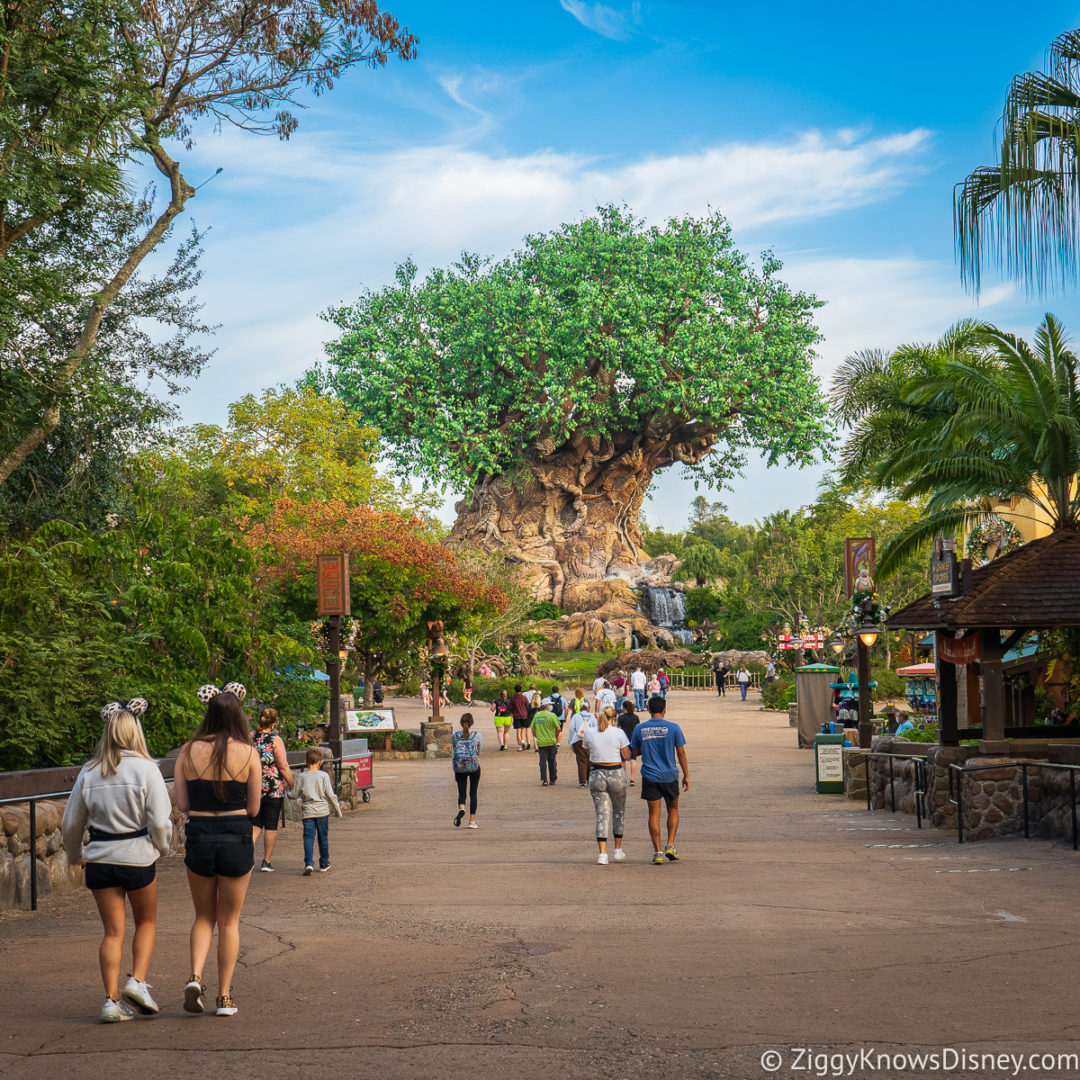 Animal Kingdom Lands