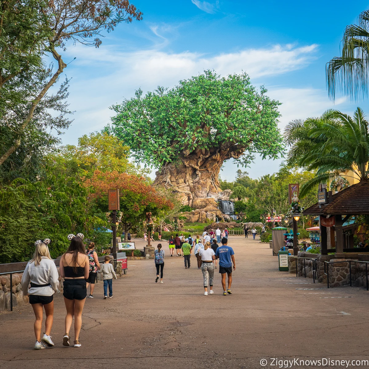 Disney's Animal Kingdom Park Hours