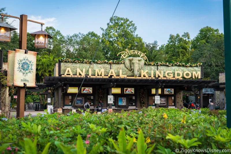 Animal Kingdom entrance