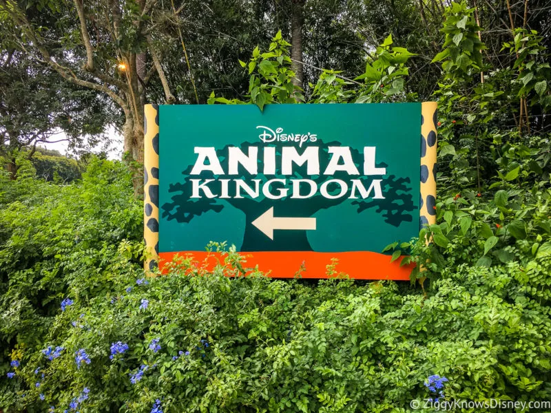 Sign at the entrance to Disney's Animal Kingdom