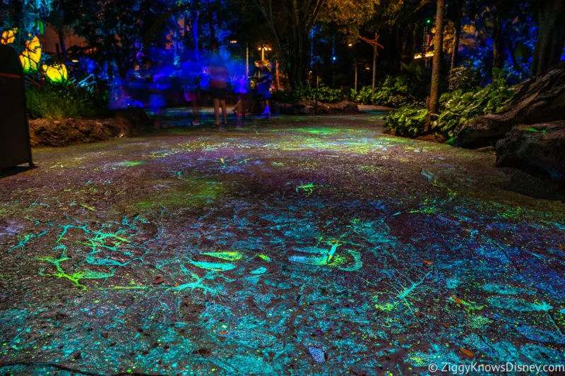 bioluminescent lights in Pandora World of Avatar