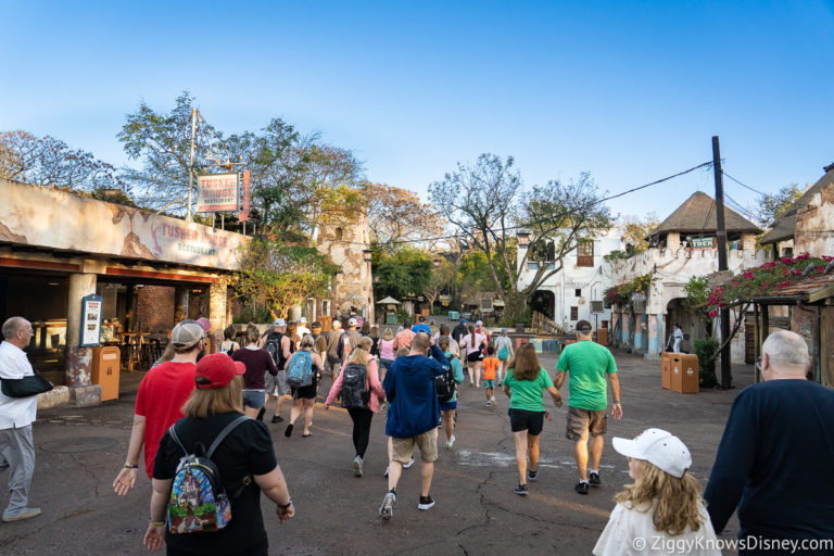 Disney's Animal Kingdom Park Hours 2024 FAQs & Tips