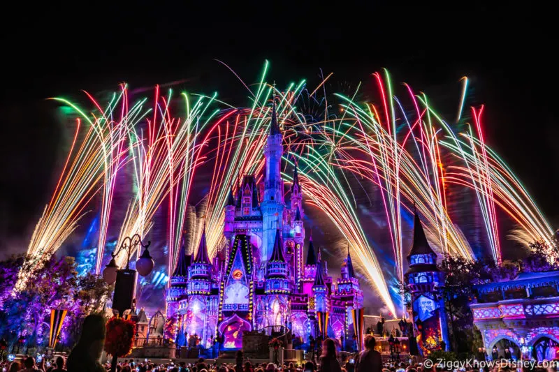 Stitch Adventure Magic Kingdom Fireworks