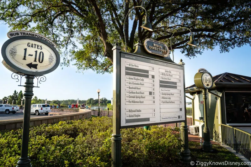 Bus Transportation Magic Kingdom