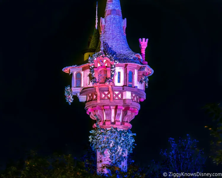 Rapunzel's Tower Magic Kingdom