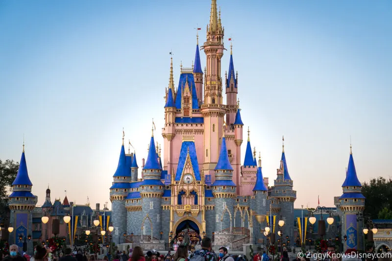 How to Make a Birthday in Disney World Magical - Park Savers
