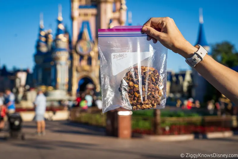 Gideon's cookies at Magic Kingdom in ziploc bag