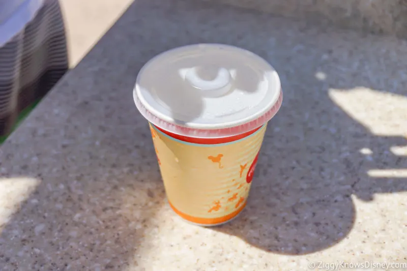 cup of water at Disney World parks