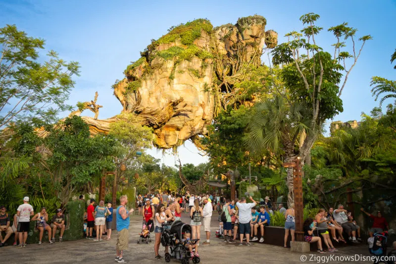 Pandora: World of Avatar at sunset floating mountains