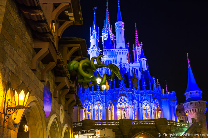 Cinderella Castle at night Magic Kingdom