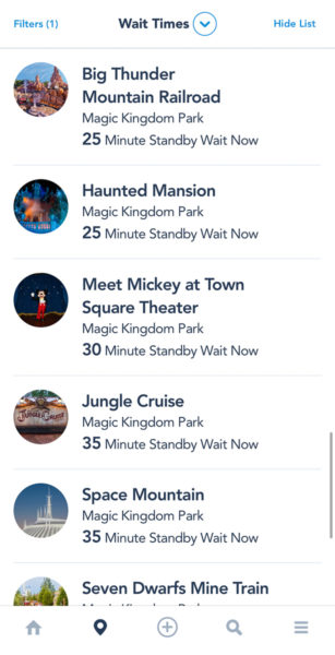 Wait Times at Disney's Magic Kingdom