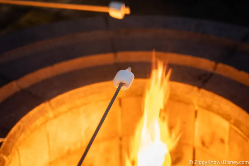 roasting marshmallows over campfire on sticks