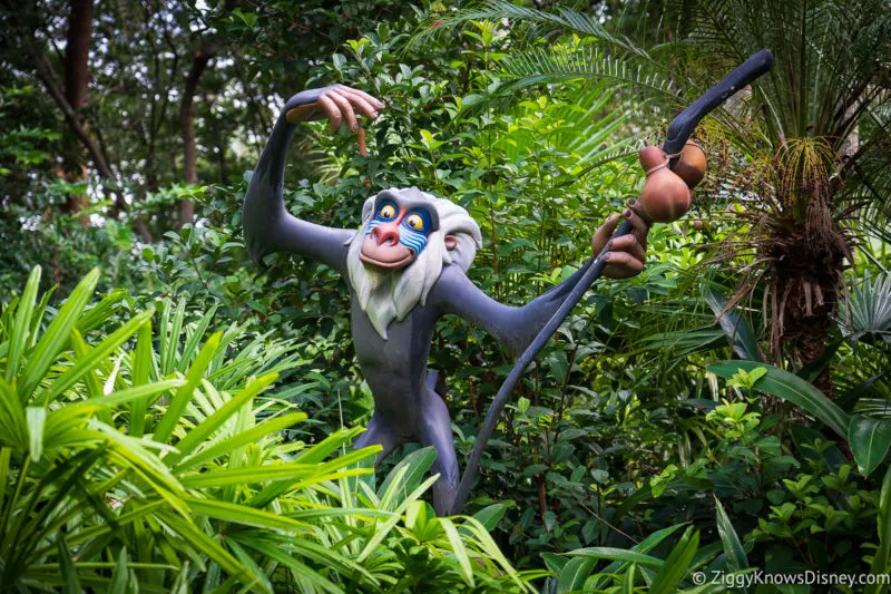 Rafiki Animal Kingdom