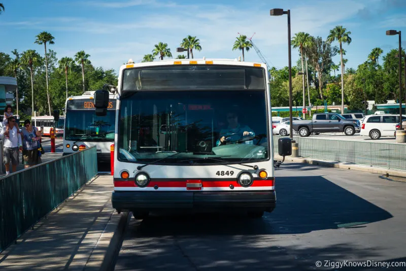Disney Bus waiting at the bus stop for guests